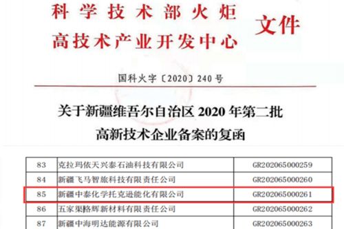 托克遜能化榮獲自治區第二批高新技術企業認定，知識產權服務助力創新發展