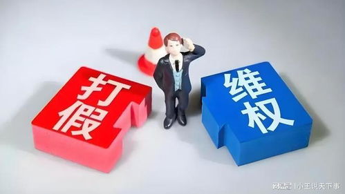 職業(yè)打假人的法律邊界 從吳亞萍法官判決看知識(shí)產(chǎn)權(quán)服務(wù)的角色與爭(zhēng)議