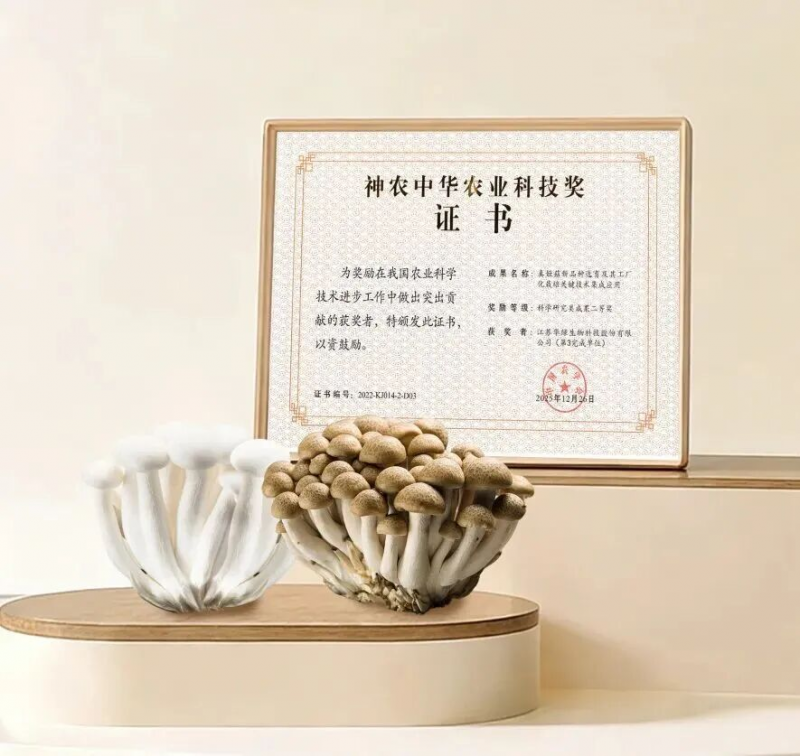 院企合作助推金針菇新品種“華金45”自主育種技術(shù)突破與知識產(chǎn)權(quán)服務(wù)升級